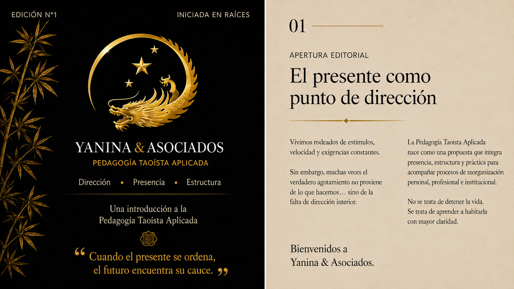 Página del libro